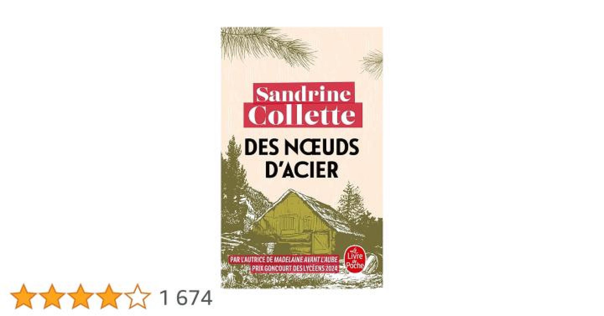 Livre "Des Noeuds d'Acier" de Sandrine COLLETTE