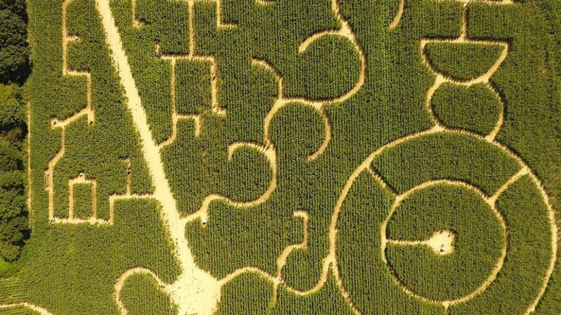 Places - Labyrinthe de Honfleur