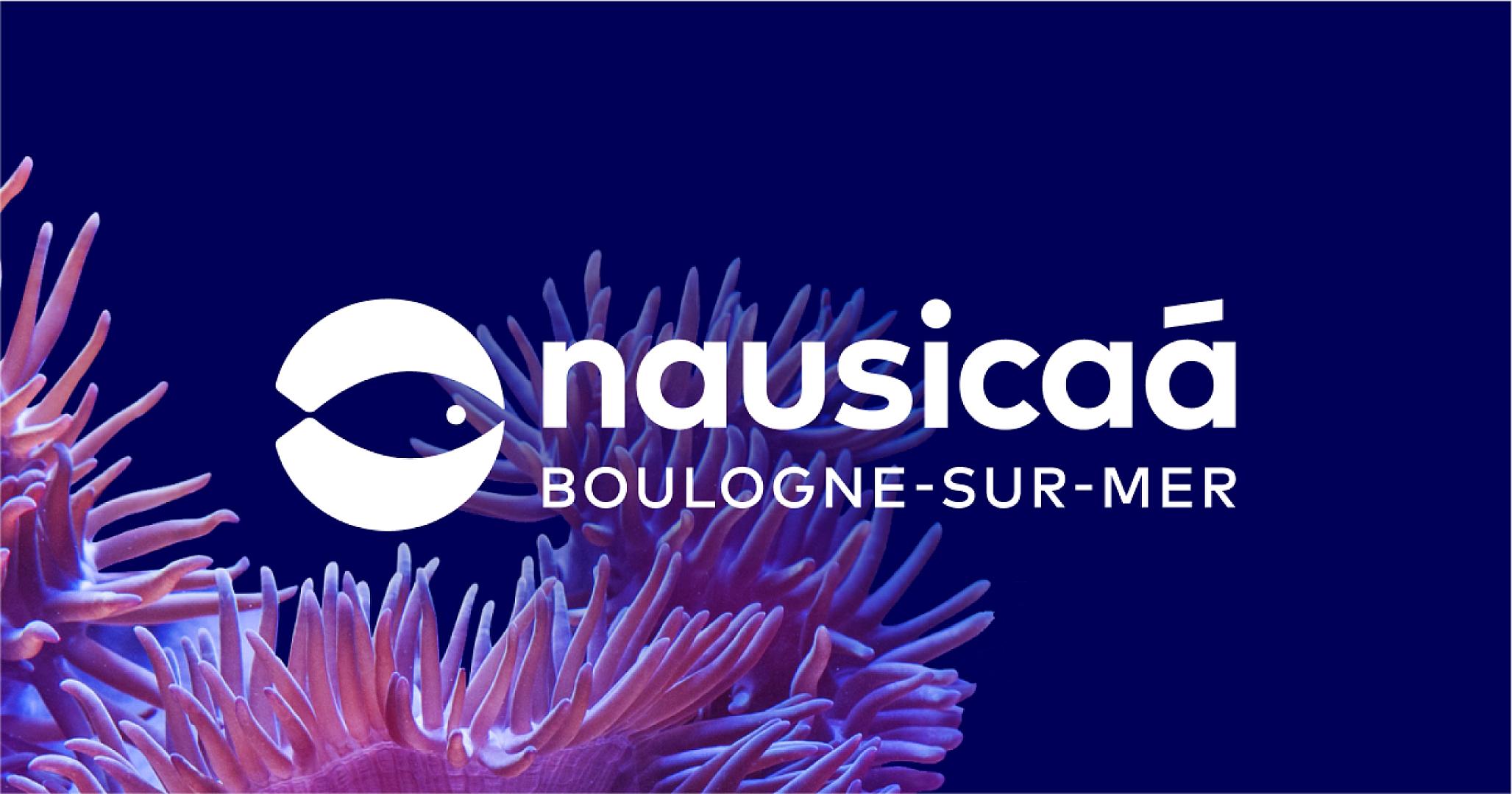 Places - Nausicaa